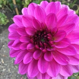 Meet your Posher, Bianca